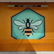 28th May 2022 - Bee 6