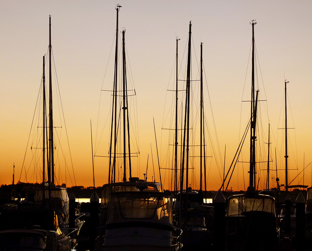 Masts by onewing