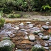 Small stream by sandradavies