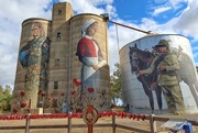 29th May 2022 - Devenish silo art