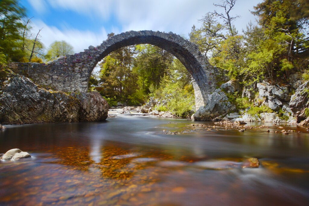LOW DOWN AT CARRBRIDGE by markp