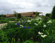 27th May 2022 - The Welcome Building, RHS Bridgewater