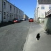 Houses, blue sky and a cat. On my way home. by grace55
