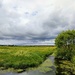 Southwold Common by boxplayer