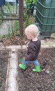5th Apr 2022 - Helping in the garden
