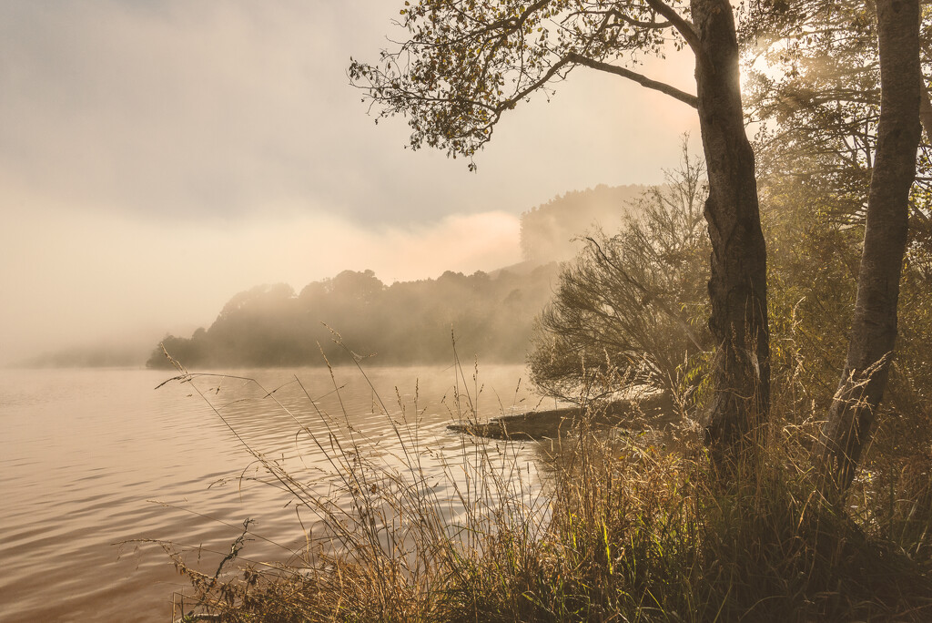 Mist on the Lake 2 by nickspicsnz