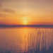 Lake sunset by pamalama