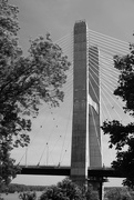 29th May 2022 - Bill Emerson Memorial Bridge