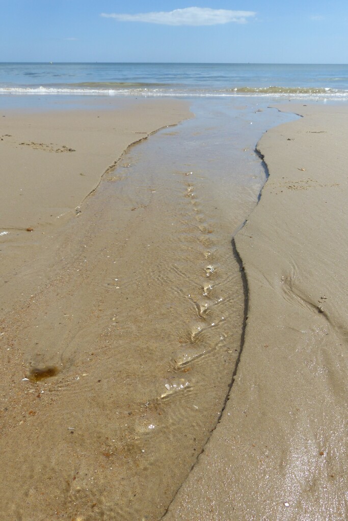 rippled spine of sand by jokristina