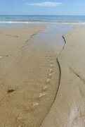 28th May 2022 - rippled spine of sand