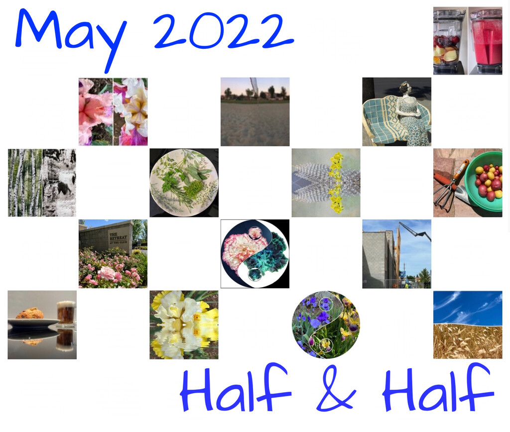Half and Half Calendar by shutterbug49
