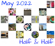 31st May 2022 - Half and Half Calendar