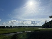 31st May 2022 - Sunlit marsh