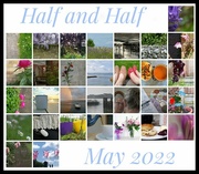 31st May 2022 - A Compleat Month of Halfies.