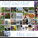 A Compleat Month of Halfies. by 30pics4jackiesdiamond