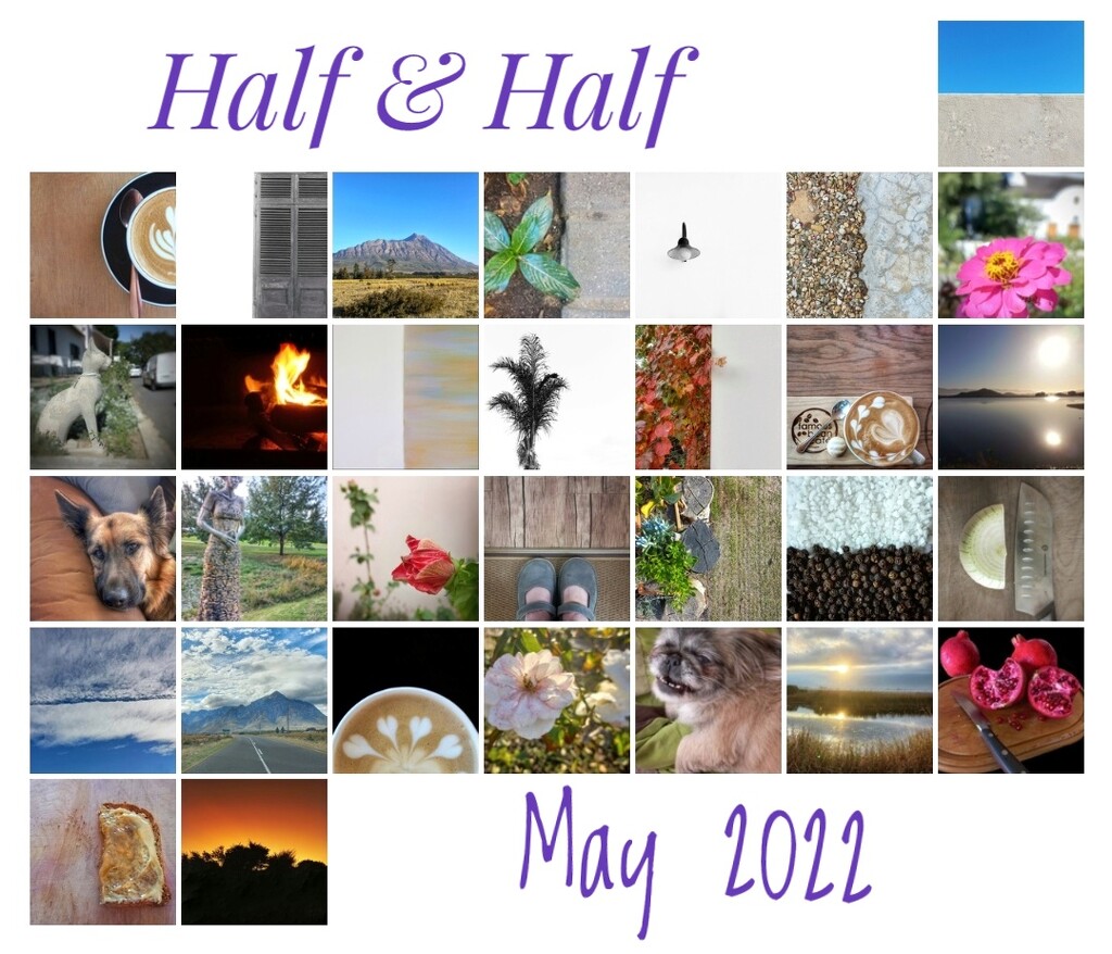 My Half & Half Calendar  by salza