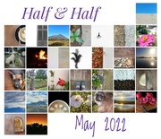 31st May 2022 - My Half & Half Calendar 