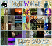 1st Jun 2022 - another theme wrapped up