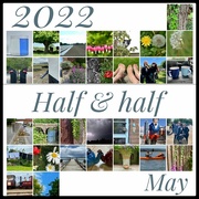 31st May 2022 - Half & half