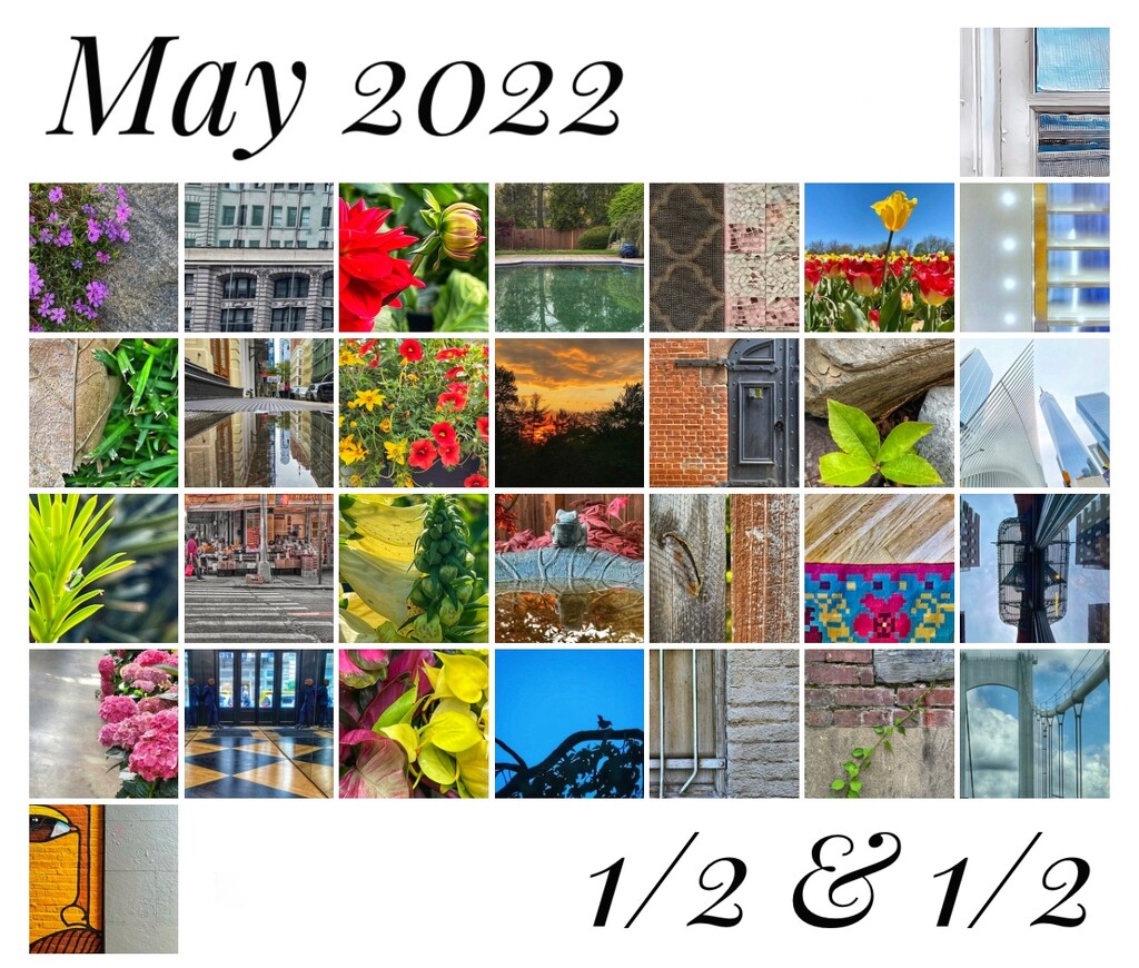 May 2022 Half & Half by njmom3