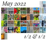 31st May 2022 - May 2022 Half & Half