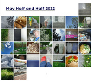 31st May 2022 - May Half and Half
