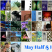 May Half Calendar  by rensala