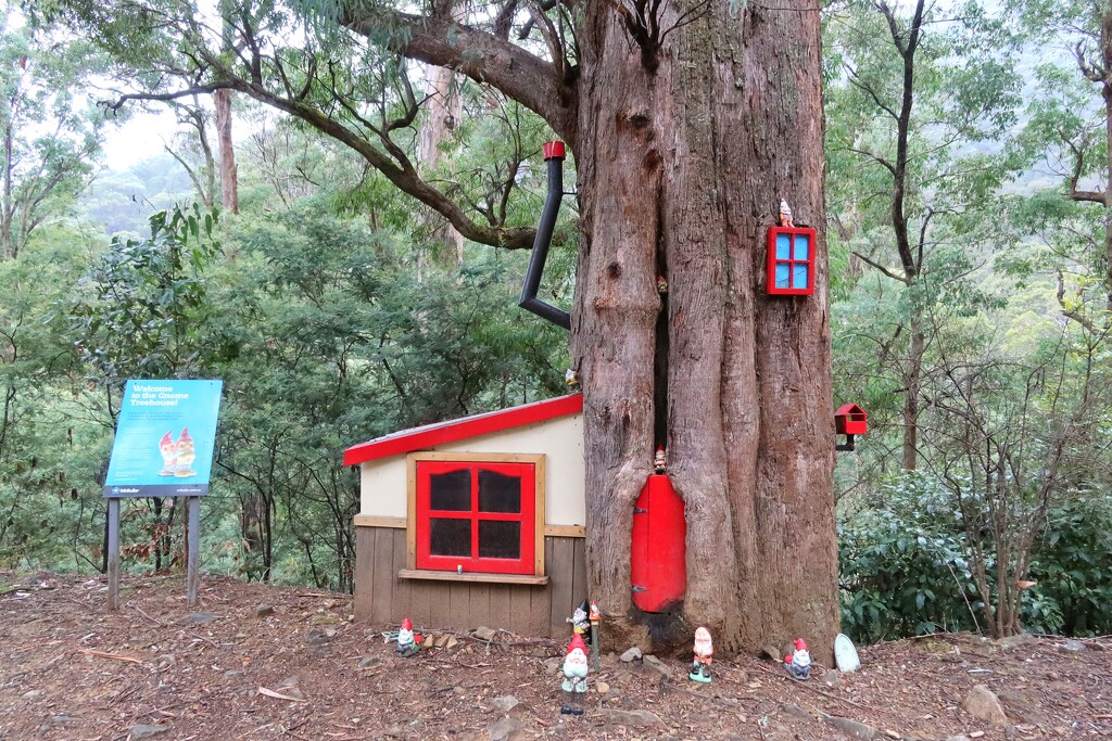 Gnome treehouse by leggzy