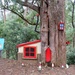 Gnome treehouse