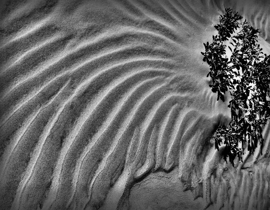 Sandscape  by joemuli