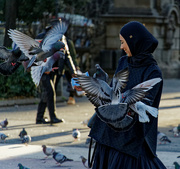 1st Jun 2022 - 0601 - Feeding the pigeons