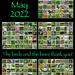 No Mow May 2022... by marlboromaam