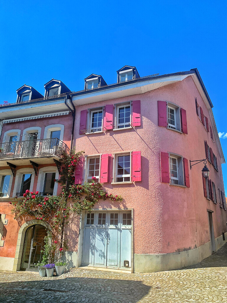 The pink house.  by cocobella