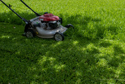 30th May 2022 - Mowing the lawn! 