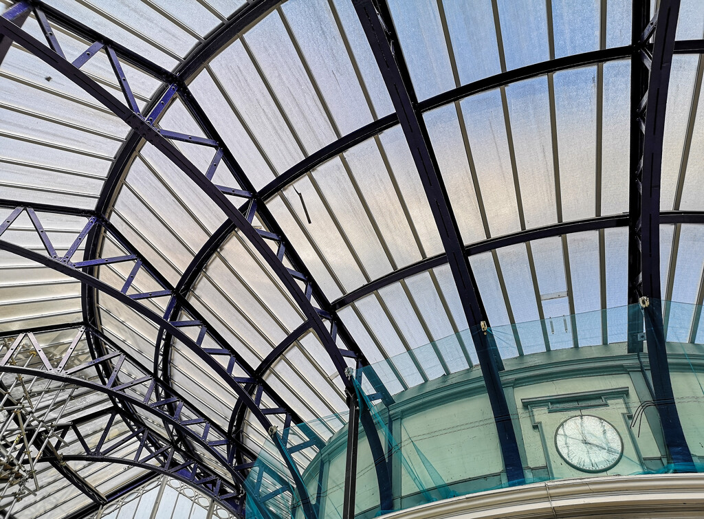 Railway Station Roof by sanderling