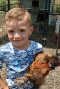 2nd Jun 2022 - Kaden and his favorite Silkie rooster