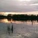 Whites Bay Sunset by revken70