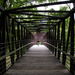 York Weston Bridge Jogger by pdulis
