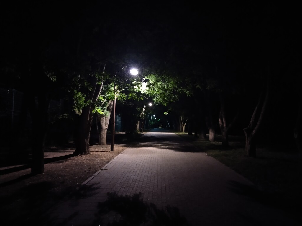 Вечерняя прогулка по дендрарию  by natalytry