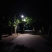 Вечерняя прогулка по дендрарию  by natalytry