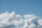 4th Jun 2022 - Fly Over
