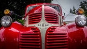 3rd Jun 2022 - 1941 Dodge Pick Up Truck