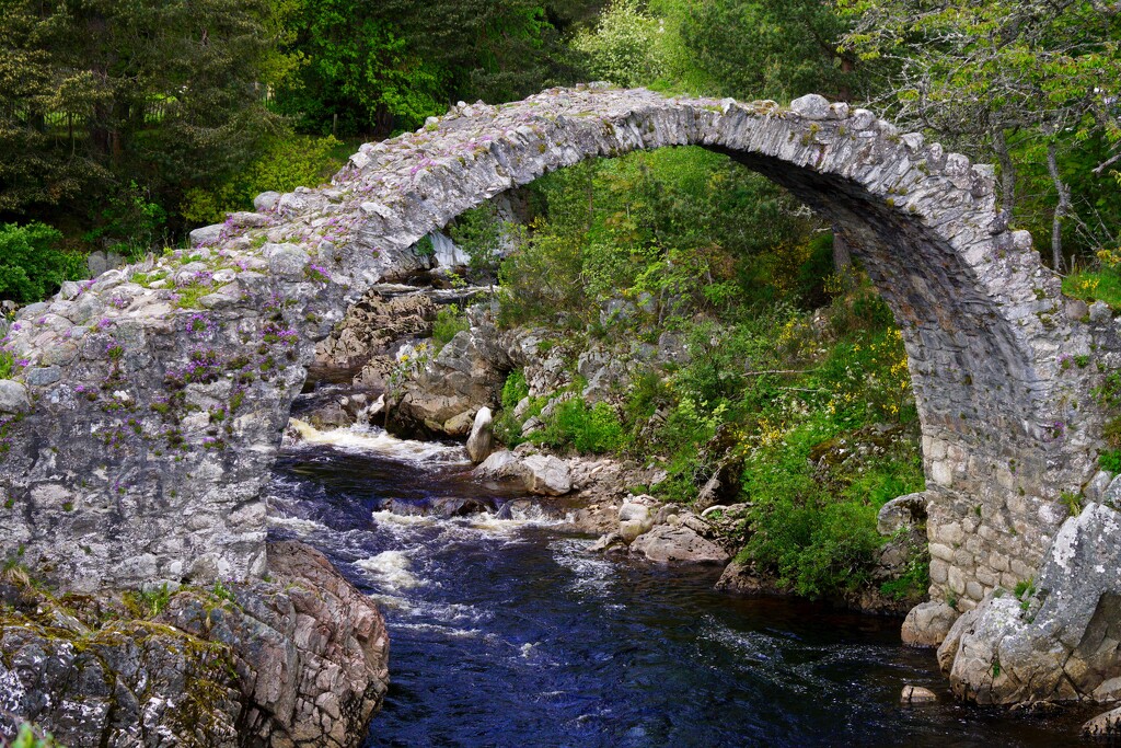 ANOTHER VIEW OF THE PACKHORSE BRIDGE by markp