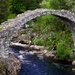 ANOTHER VIEW OF THE PACKHORSE BRIDGE by markp