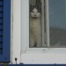 Window #1: With Katt by spanishliz