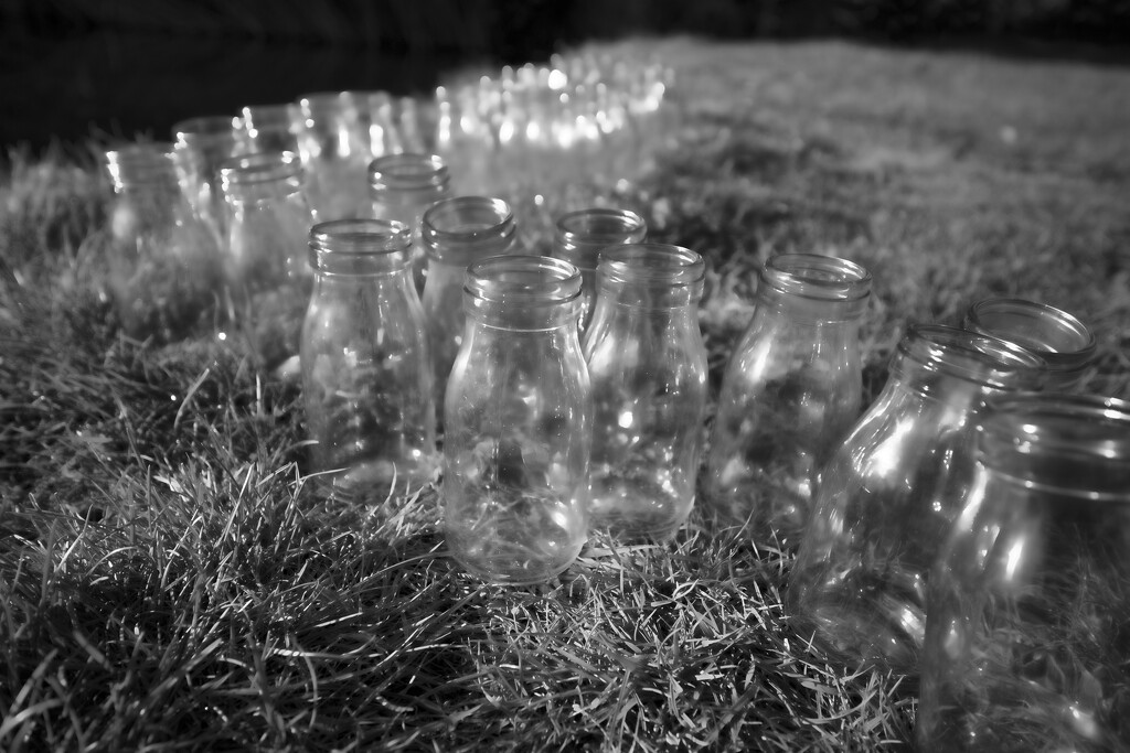 Bottles by dkbarnett