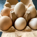Extras - Fresh eggs - Ouch!!