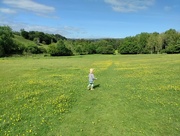 27th May 2022 - Running through the field