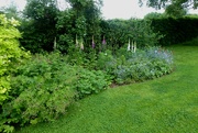 5th Jun 2022 - This new herbaceous border is filling out nicely