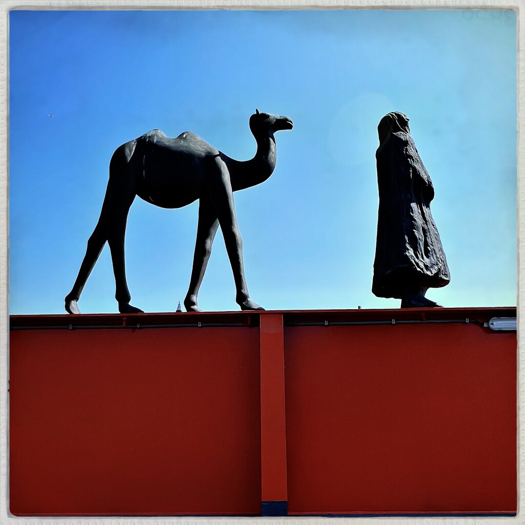 Camel and attendant by mastermek